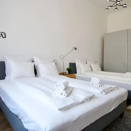 Premium By Hi5- Anker